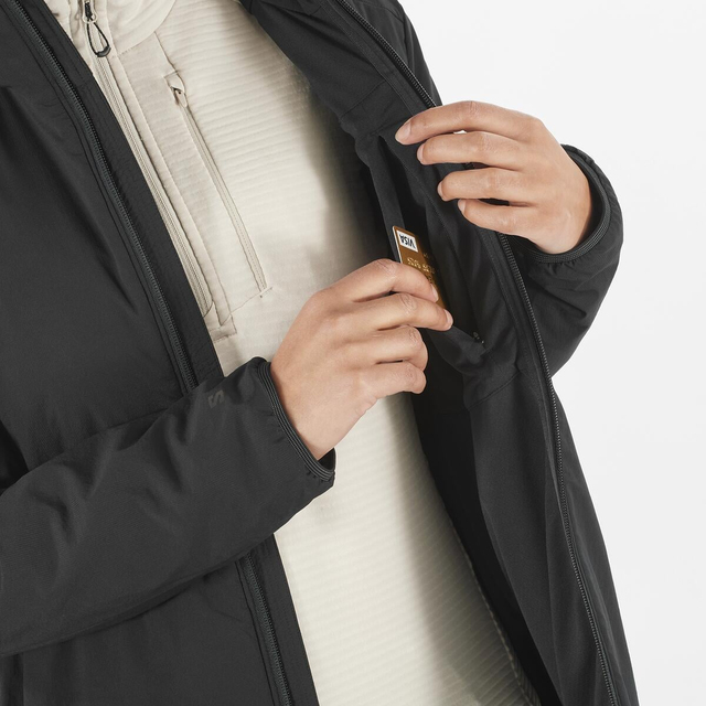 LC2298400-MOUNTAIN FLEX JCKT HOOD W