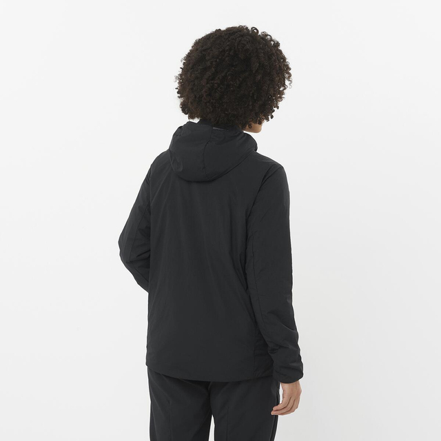 LC2298400-MOUNTAIN FLEX JCKT HOOD W