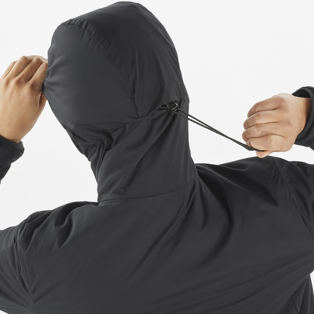 LC2298400-MOUNTAIN FLEX JCKT HOOD W