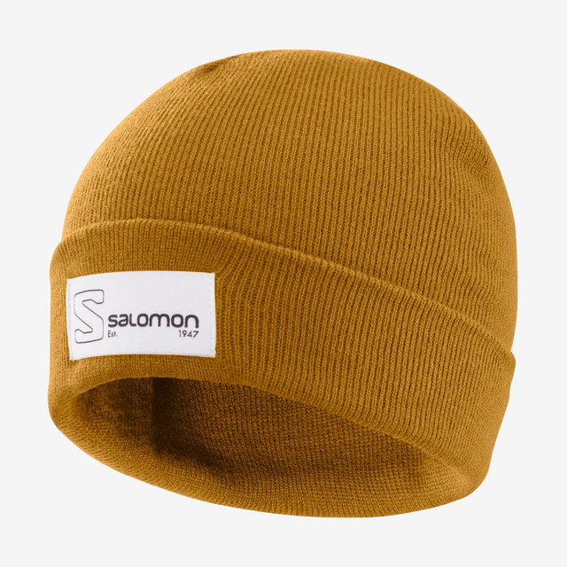LC1585800-OUTLIFE LOGO BEANIE