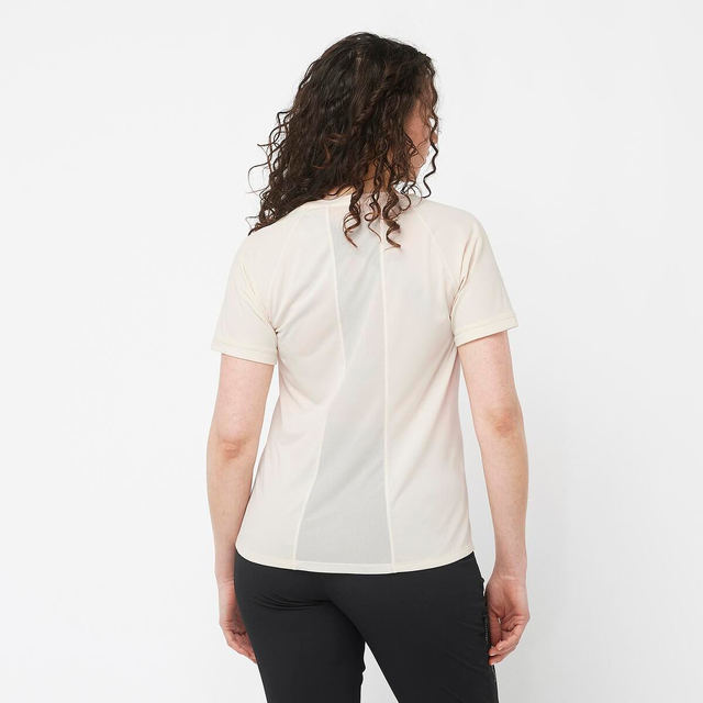 LC2155900-OUTLINE