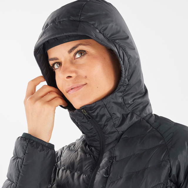 LC1833800-OUTLINE PRIMALOFT