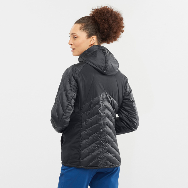 LC1833800-OUTLINE PRIMALOFT