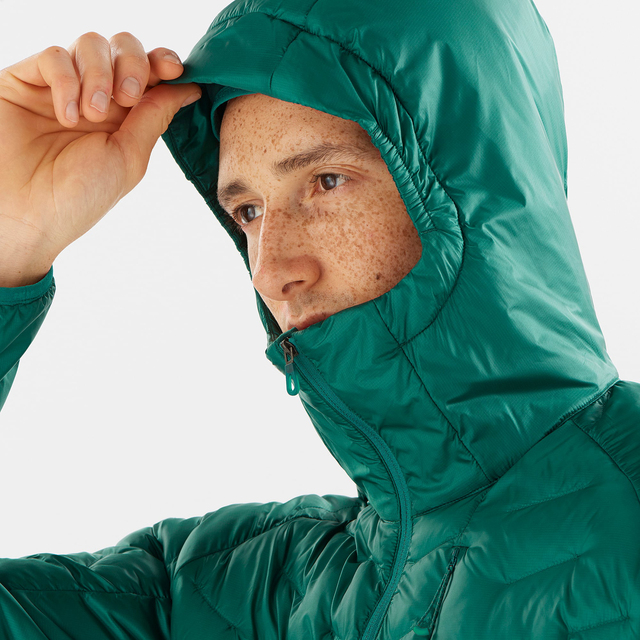 LC1834600-OUTLINE PRIMALOFT
