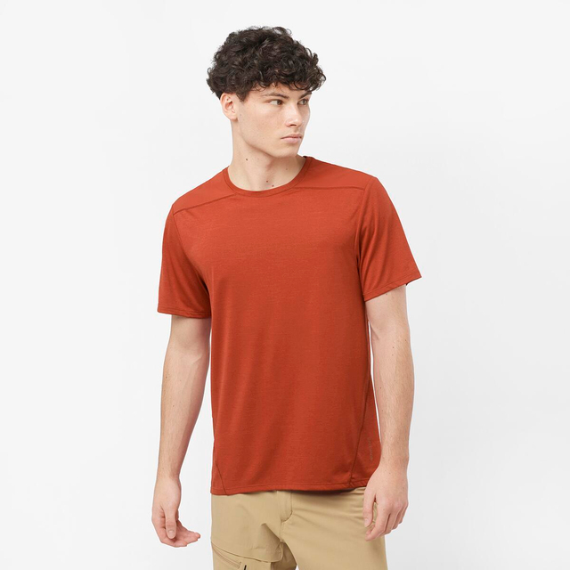LC2117200-OUTLINE SS TEE M
