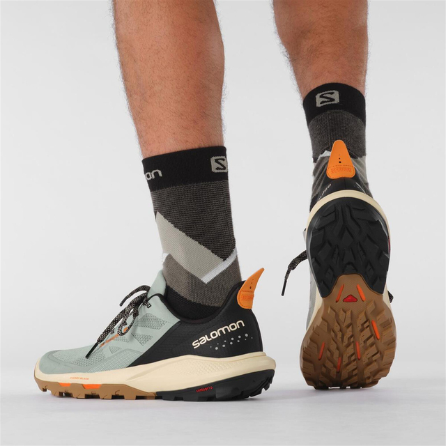 L41585100-OUTpulse