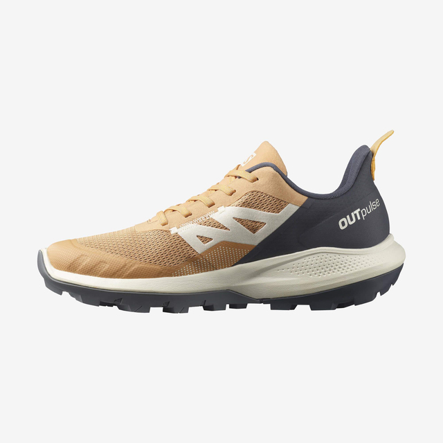 L41688700-OUTpulse