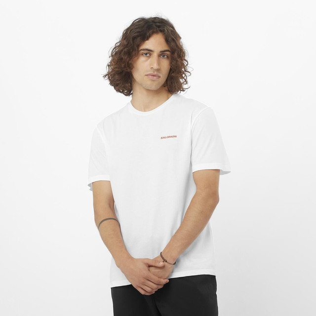 LC2363900-PARIS SS TEE M