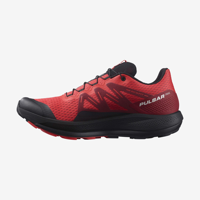 L41602900-PULSAR TRAIL