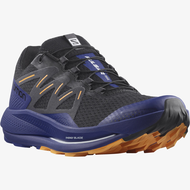 L41603200-PULSAR TRAIL