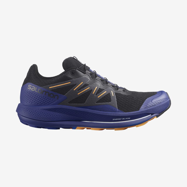 L41603200-PULSAR TRAIL