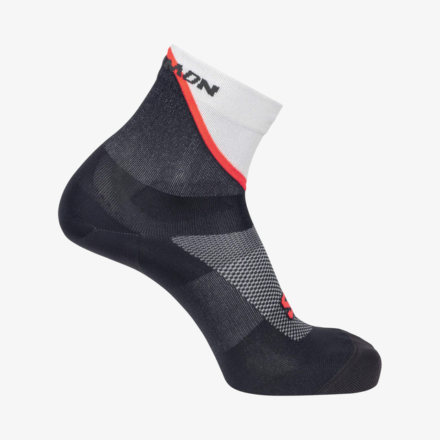 LC2625800-Pulse Ankle DX+SX