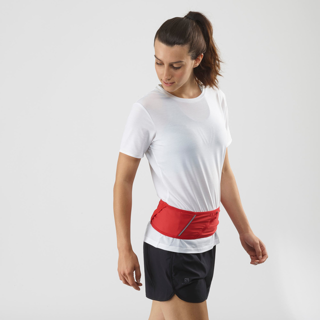 PULSE BELT