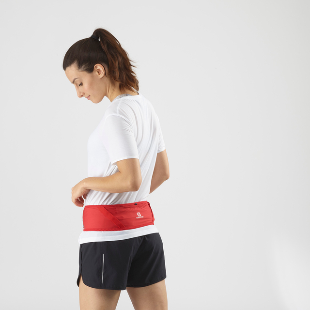 PULSE BELT