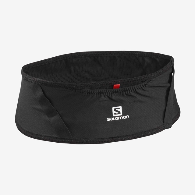L39779000-PULSE BELT