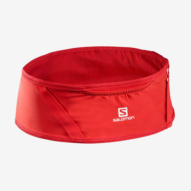 LC1304100-PULSE BELT