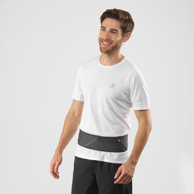 LC1521500-PULSE BELT
