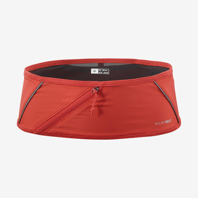 LC2180000-PULSE BELT