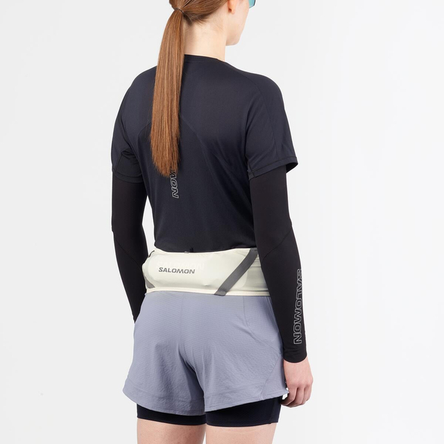 LC2711100-PULSE BELT