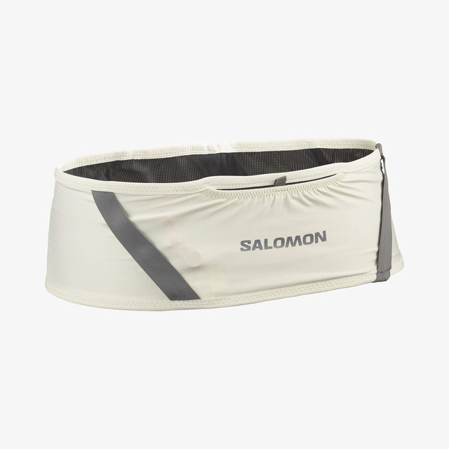 LC2711100-PULSE BELT