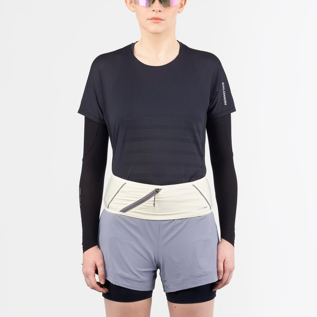 LC2711100-PULSE BELT