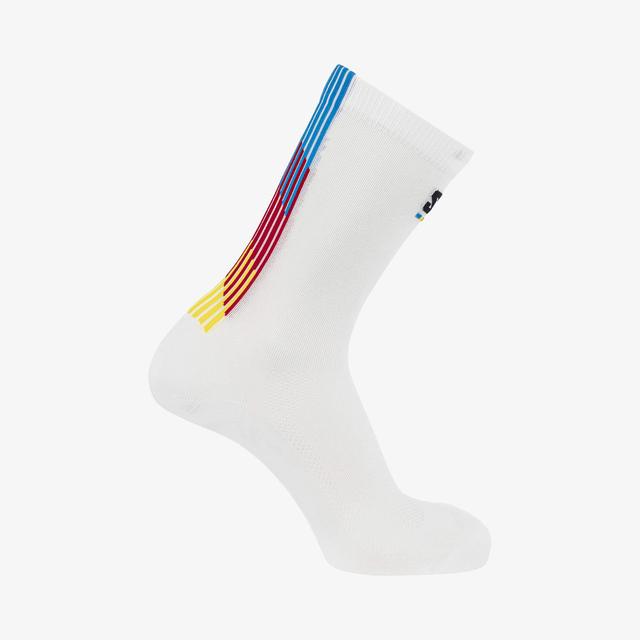 LC2625300-PULSE RACE FLAG CREW NEW R+L