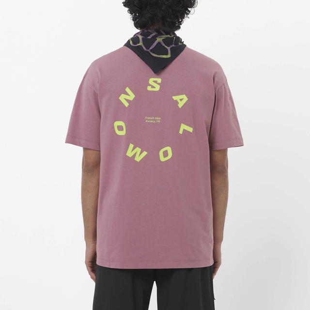 LC2844900-ROUND LOGO GRAPHIC