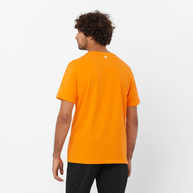 LC2245700-SAL LOGO PERF SS TEE M