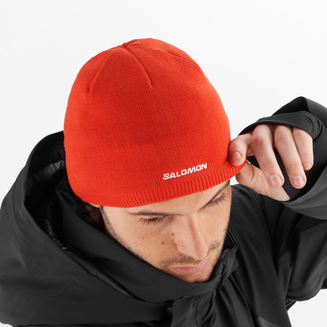 LC2157200-SALOMON BEANIE