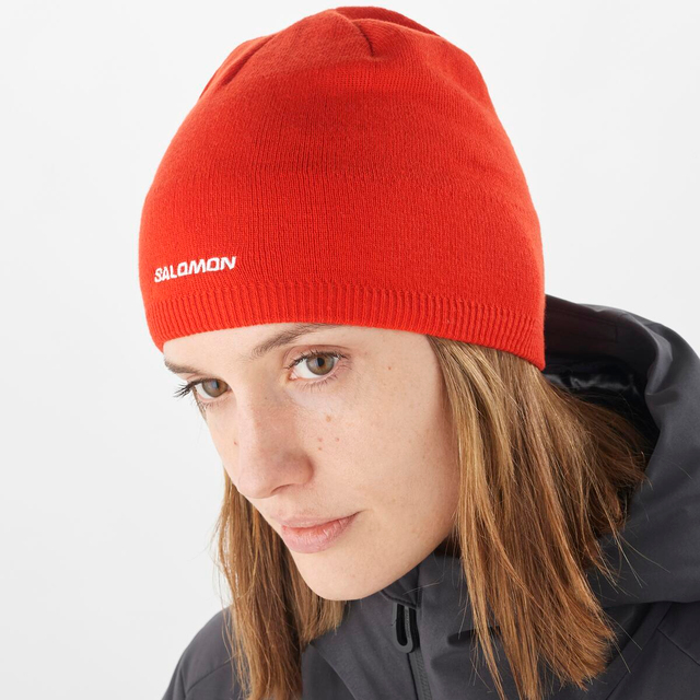 LC2157200-SALOMON BEANIE