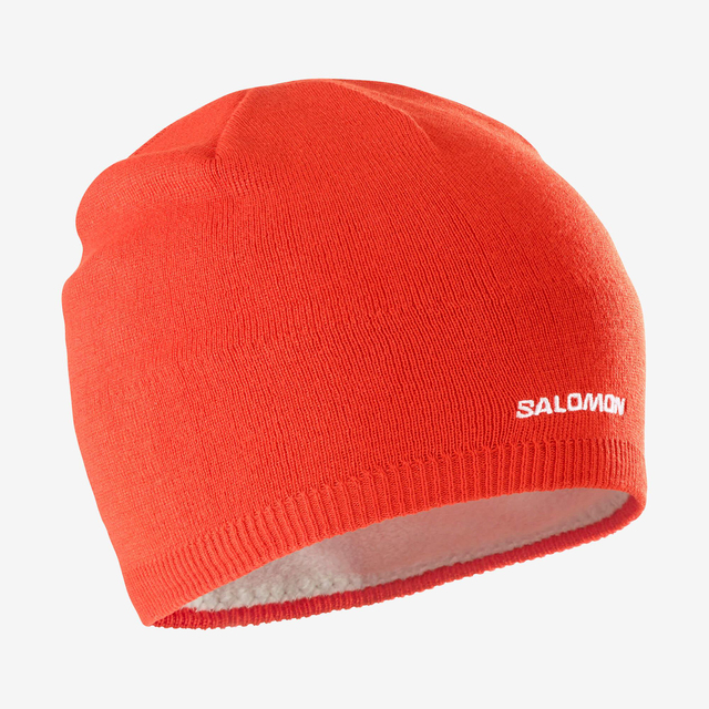 LC2157200-SALOMON BEANIE