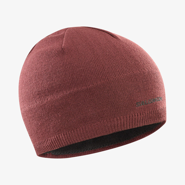 LC2366200-SALOMON BEANIE