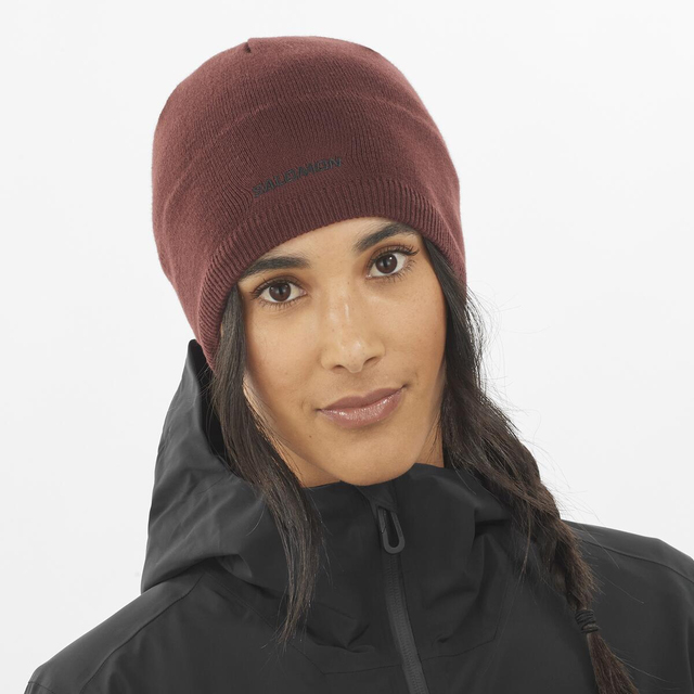 LC2366200-SALOMON BEANIE