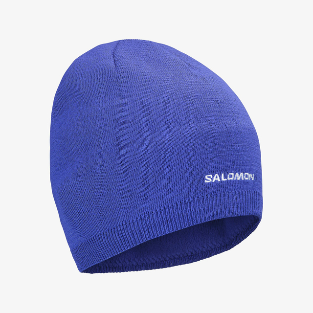 LC2939600-SALOMON BEANIE