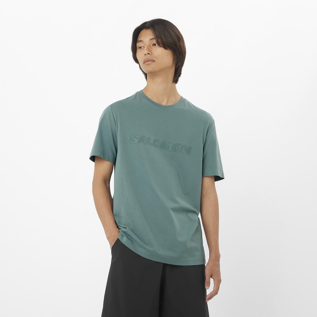 LC2526700-SALOMON BIG LOGO TEE M