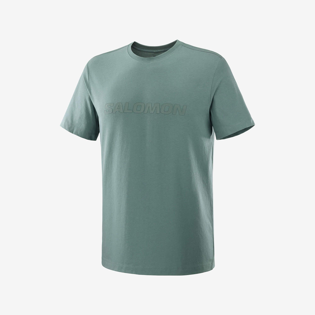 LC2526700-SALOMON BIG LOGO TEE M