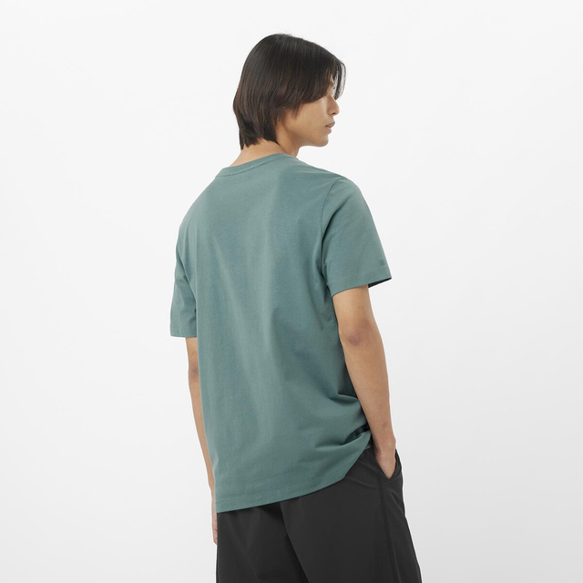 LC2526700-SALOMON BIG LOGO TEE M