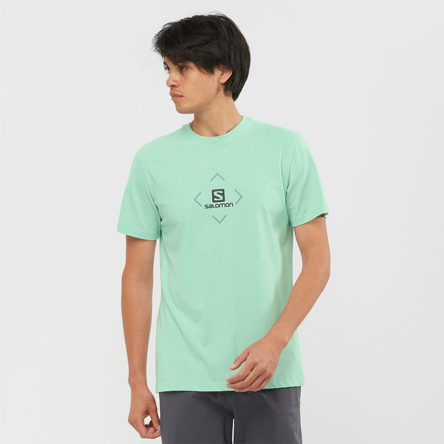 LC1507500-SALOMON COTTON