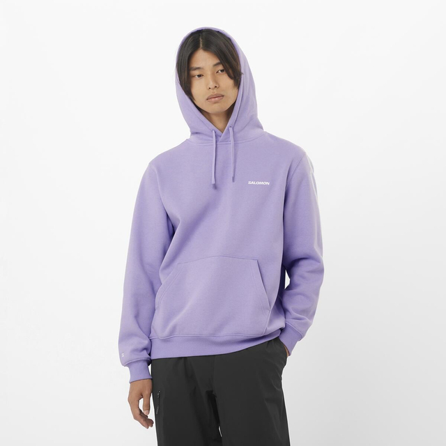 LC2522800-SALOMON LOGO HOODIE M