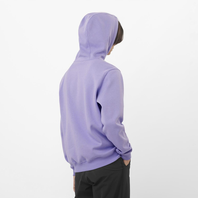 LC2522800-SALOMON LOGO HOODIE M
