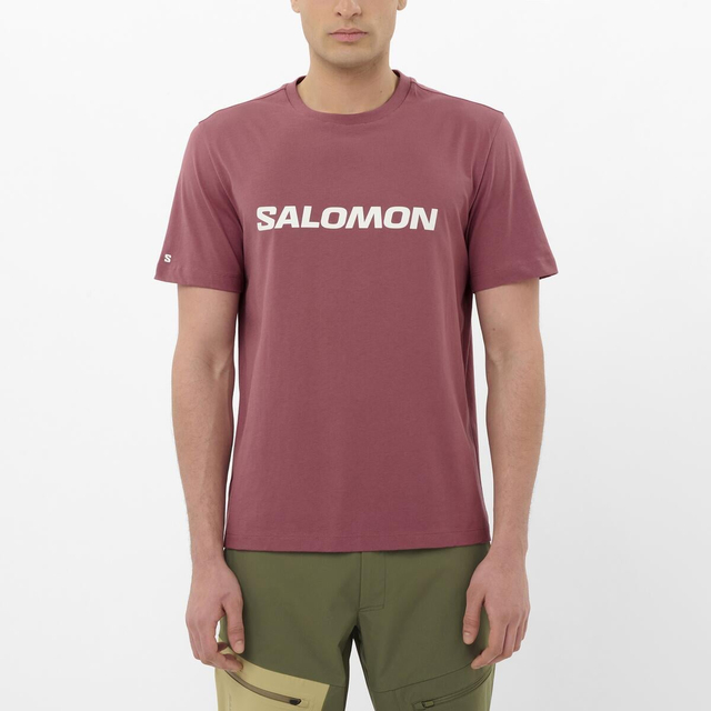 LC2676700-SALOMON LOGO