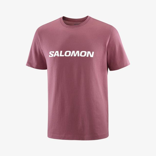 LC2676700-SALOMON LOGO