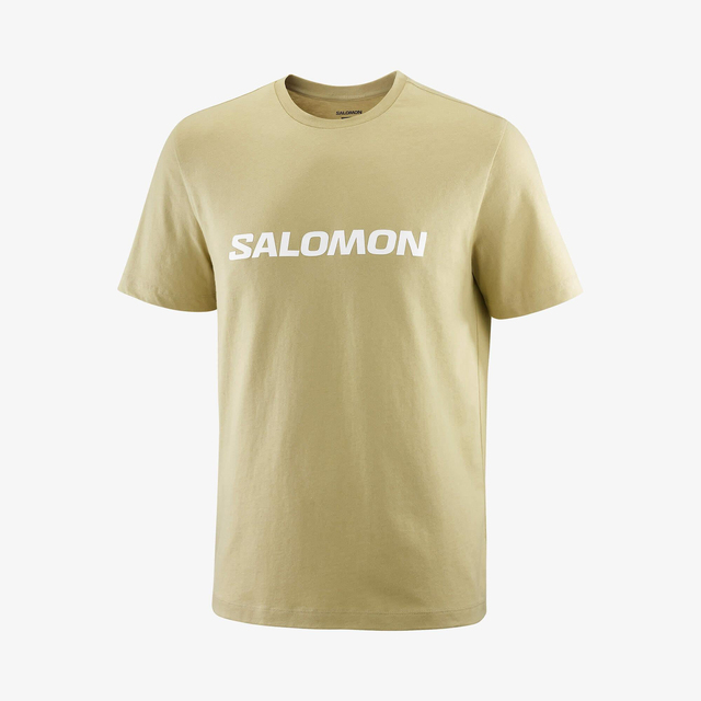 LC2680600-SALOMON LOGO