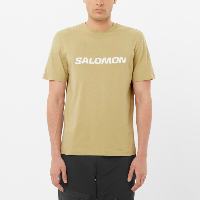 LC2680600-SALOMON LOGO