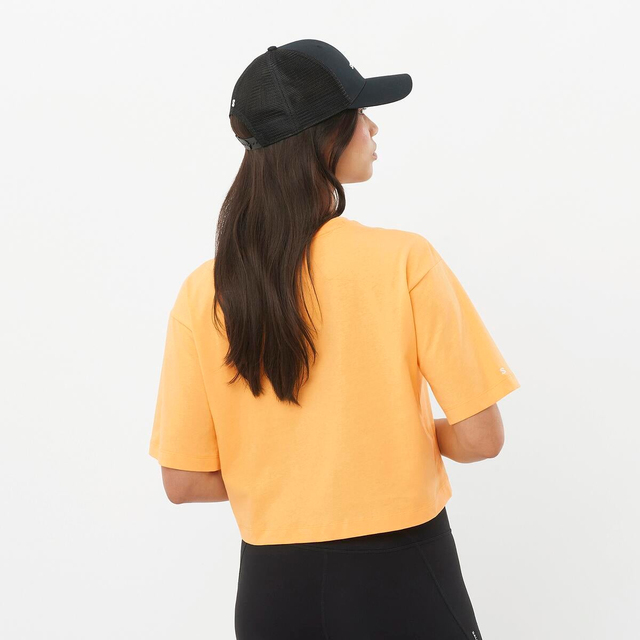 LC2528000-SALOMON LOGO SHORT TEE W