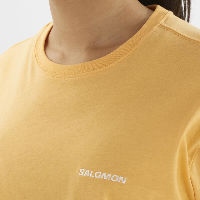 LC2528000-SALOMON LOGO SHORT TEE W