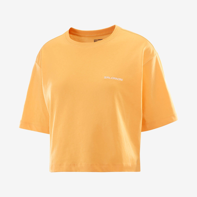 LC2528000-SALOMON LOGO SHORT TEE W