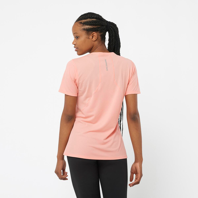 LC2153400-SENSE AERO SS TEE W