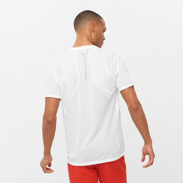 LC2099000-SENSE ARO SS TEE M