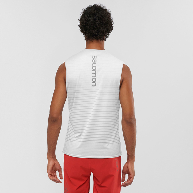 SENSE TANK M